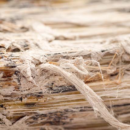 Asbestos inspections, certifications and monitoring